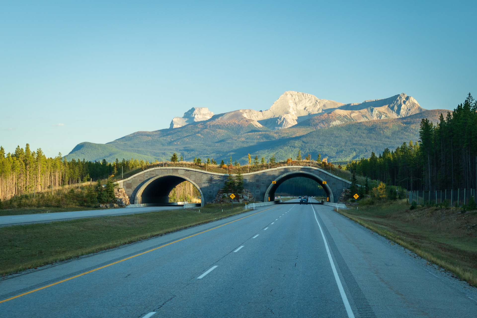 Cochrane_Travel