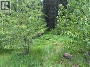 229 Mountain Lion Drive, Bragg Creek